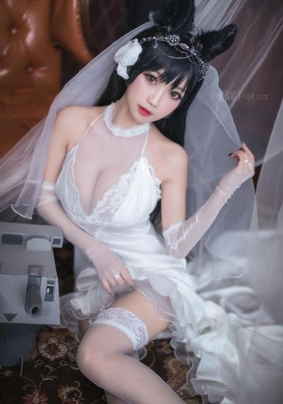 斗罗大陆1免费完整观看_DVD电影全集观看