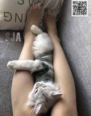 乳色吐息电影_最近手机在线观看