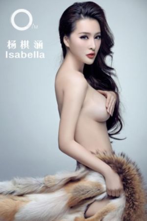 两妻时代 电视剧_蓝光高清迅雷在线观看