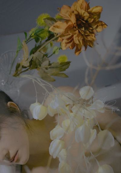 血染淑女高清完整版免费观看_1080P电视剧在线观看
